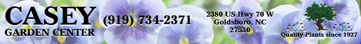 Casey Garden Center Pansies