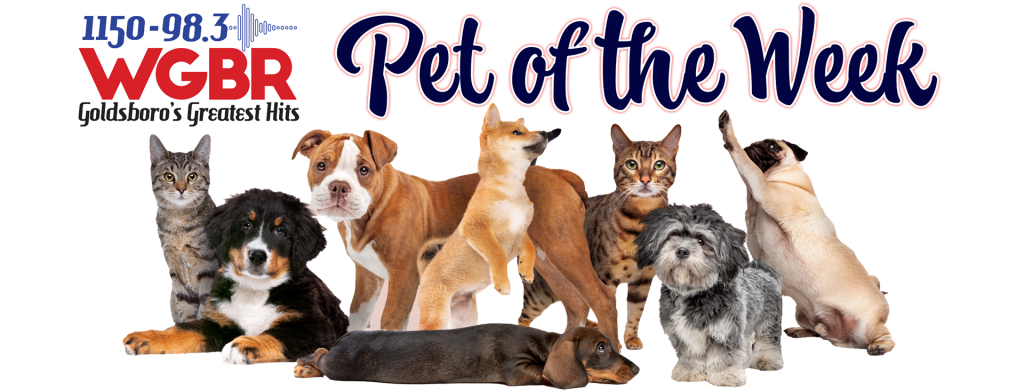WGBR Pet of the Week Banner 2024 Transparent