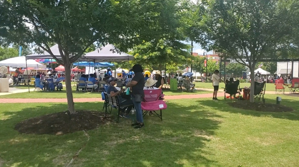 Juneteenth Unity and Heritage Festival (7)